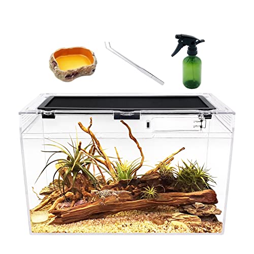 Reptile Growth Terrarium Komplettset, 16" x 8"x 10" Faunarium für,Schnecken,Insekten,Wasserschildkröten，Vogelspinnen,Springspinne,Leopard Gecko,Bärtiger Drache ，Frosch,Aquarium,Einsiedlerkrebs von Reptile Growth