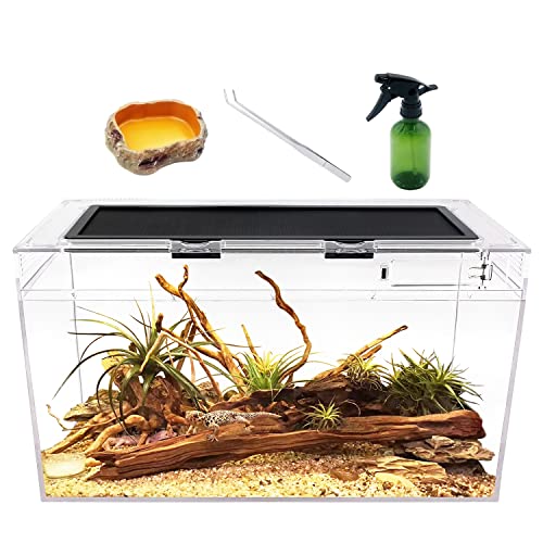 Reptile Growth Reptilien-Terrarium-Set, 35.4 l Reptilien-Tank 50.8x25.4x27.9 cm, mit Edelstahl-Pinzette, Sprühflaschen, Wasserfutterschale, Bartdrachen, Eidechse von Reptile Growth