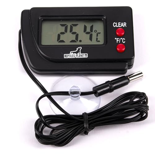 Reptiles Planet Digitalthermometer für Reptilienterrarium von Reptiles-Planet