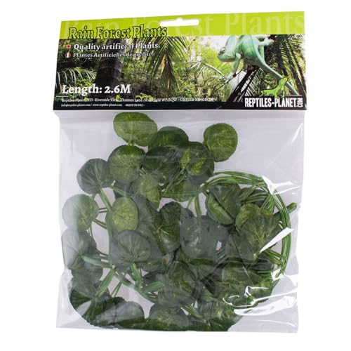 Reptiles Planet - Exotic Kali Vine - Stoffpflanze - Dekoration für Terrarium - 2,6 m von Reptiles-Planet