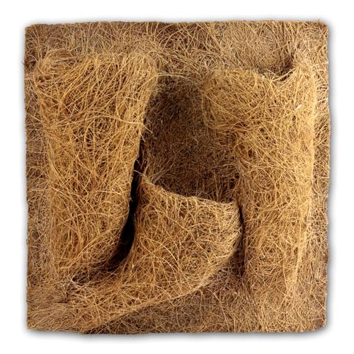 Reptiles Planet Habitat-Dekoration Planting Background 30 x 30 x 1 cm von Reptiles-Planet