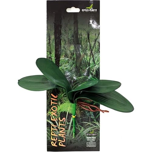 Reptiles Planet Habitat-Dekoration Repti exotischen Plant Phalaenopsis Amabilis von Reptiles-Planet