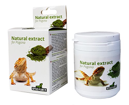 Reptiles-Planet Natürlicher Extrakt für Pogona, 100 g von Reptiles-Planet