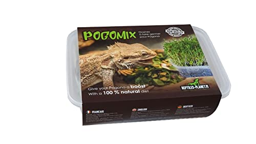 Reptiles Planet Pogomix, Frischer Pflanzenmix für Bartagamen von Reptiles-Planet