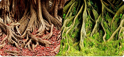 Reptiles-Planet Poster Amazonian Tree Roots 2 Seiten 1, Rolle von 15 m, Höhe 30cm von Reptiles-Planet