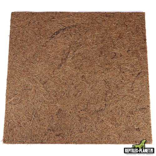 Reptiles Planet Rückwand für Reptilien/Amphibien Jungle Coco Background 30 x 30 x 1 cm von Reptiles-Planet