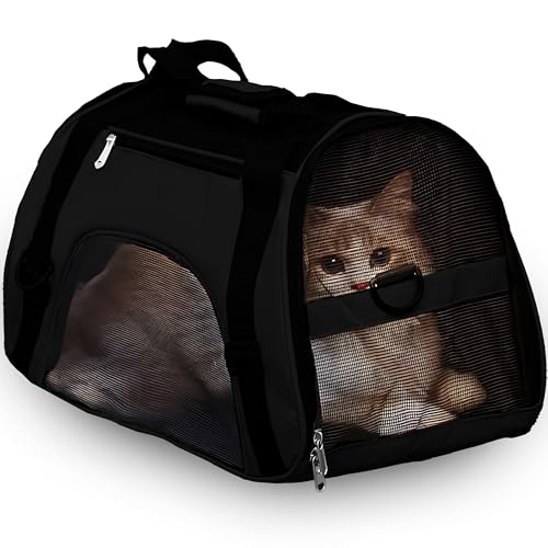 Retoo Transporttasche für Katze Hund 53x32x26, Faltbare Transportbox Katzen, Transportbox für Kleine Hund Katze mit Einstellbar Schultergurt, Katzentransportbox, Klein Hundetransportbox Schwarz von Retoo