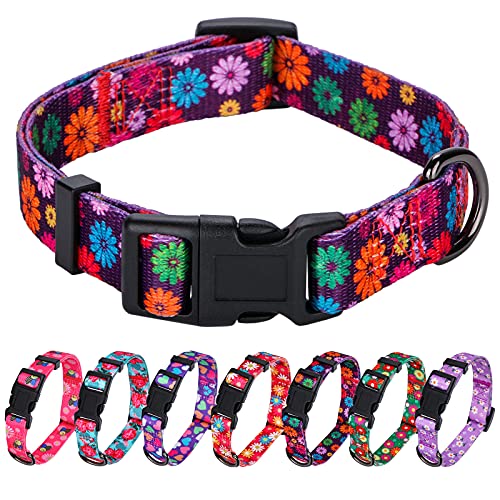 Rhea Rose Girl Hundehalsbänder Herbst Gänseblümchen Muster, Bunte Blumen drucken, weibliche Halsband, dunkel lila, klein von Rhea Rose