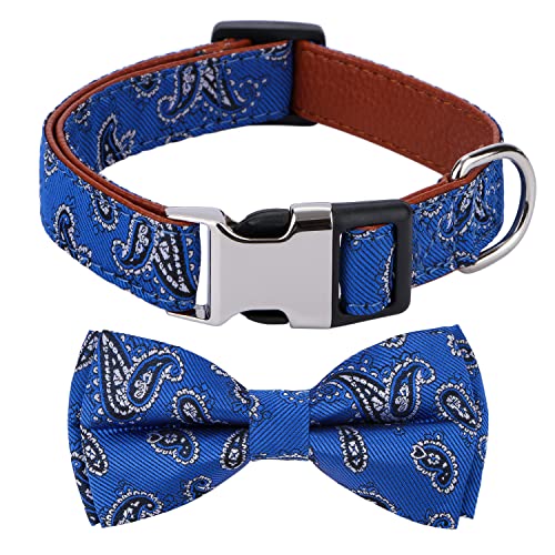 Rhea Rose Hundehalsband mit Fliege, Paisleymuster, Größe S, Blau von Rhea Rose