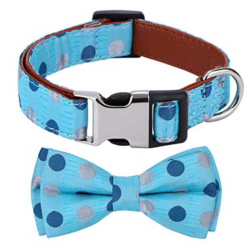 Rhea Rose Bowtie Hundehalsband, blaue Punkte, klein von Rhea Rose