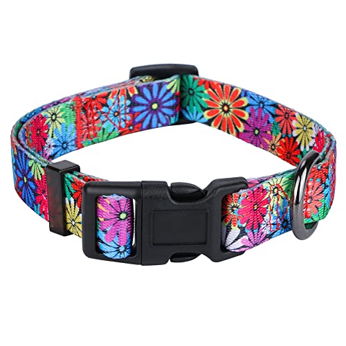 Rhea Rose Hundehalsband mit Sonnenblumen Gänseblümchen klein von Rhea Rose