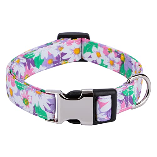 Rhea Rose Hundehalsband mit niedlichem Blumenmuster und Rose, Sonnenblume, Gänseblümchenmuster, für Mädchen und Jungen, Violette Sonnenblumen, Größe M von Rhea Rose