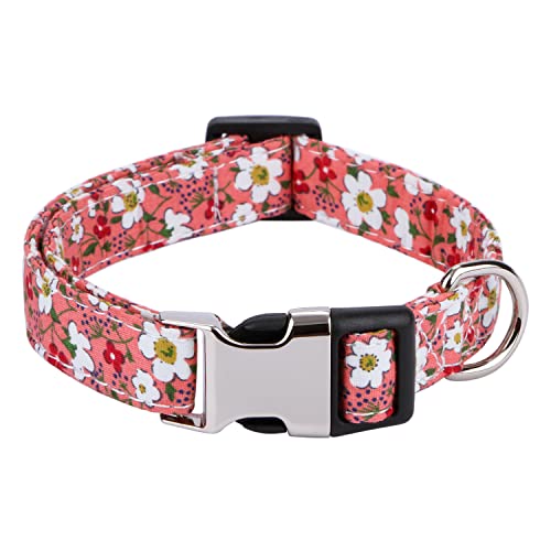 Rhea Rose Niedliches Hundehalsband mit Rose, Sonnenblume, Gänseblümchenmuster, für Mädchen, Jungen, Hunde, rosa Blumen, Größe L von Rhea Rose