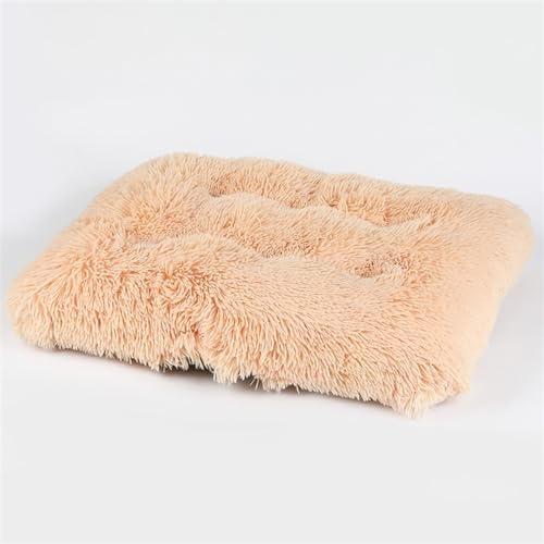 RiRaku Gemütliche und warme Haustierunterlage für den Winter, geeignet für Katzen und Hunde, bietet vier Jahreszeiten Schlafkomfort (Farbe: Champagner, Größe: S 6548 cm) von RiRaku