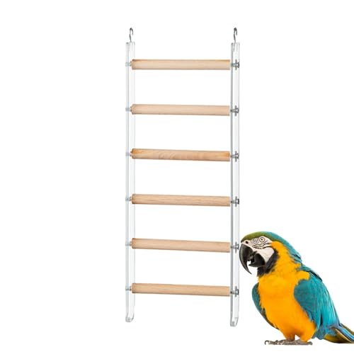 Bird Ladder, Cage Climbing Perch, Exercise Toy with 360 Rotating Hook, 10x25cm, Interactive Hanging Accessory, Fun Play Structure for Parakeets, Parrots, Cockatoos, Lovebirds von Riaisttd