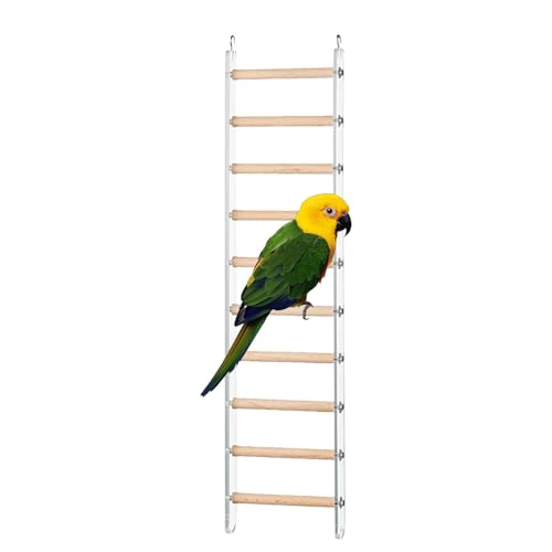 Bird Ladder, Cage Climbing Perch, Exercise Toy with 360 Rotating Hook, 10x25cm, Interactive Hanging Accessory, Fun Play Structure for Parakeets, Parrots, Cockatoos, Lovebirds von Riaisttd