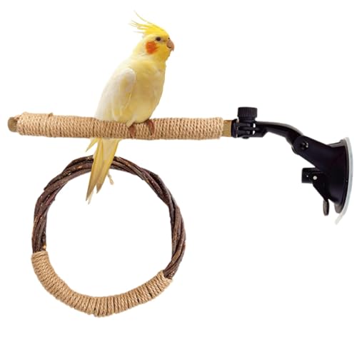 Cockatiel Perch with Suction Cup, Wooden Bird Perch Stick Chew Toy, Round Swing Play Stand, Natural Wood for Parrots, Macaws, Budgies, Sparrows, Small and Medium Birds von Riaisttd