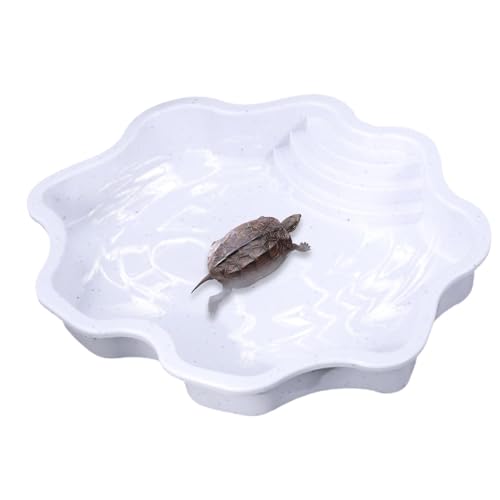 Reptile Water Dish, Large Capacity Pool Turtle Feeder Dish 11.81x11.81x2.17 inches, Turtle Food and Bowl, Tub for Geckos and Turtles, Natural Habitat Creation von Riaisttd