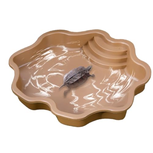 Riaisttd Reptilien Wasserschüssel, große Kapazität Pool Schildkröte Feeder Schale 30 x 30 x 5,5 cm, Schildkrötenfutter und Schüssel, Bad für Geckos und Schildkröten, natürliche Lebensraum Schöpfung von Riaisttd