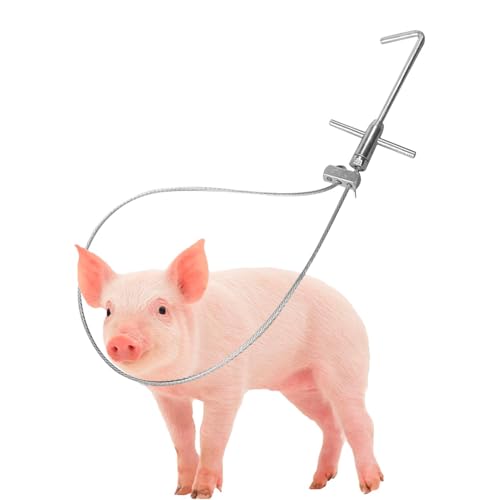 Tierkontrollstange, robuster Viehfang, Edelstahl-Fangstange, Schweinefangwerkzeug, 80 cm Tierstange, Vieh-Kontrollstange 80 cm für Outdoor-Falle von Riaisttd