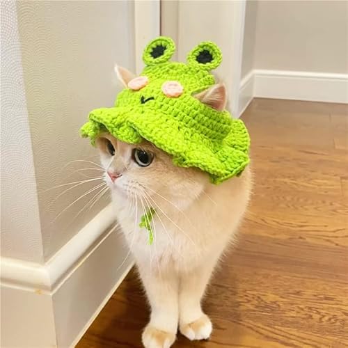 Croak!Eine super süße gestrickte Froschmütze, perfekt für Katzen und Hunde zum Cosplay Verkleiden Sie Ihren pelzigen Freund jetzt (niedliche Froschmütze, S (Haustier 3-5 kg)) von Richcatty