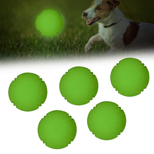 Rienan 5 Stück Leuchtball Hund,Hundeball Leuchtend Hochelastisches Leuchtender Ball Hund Interaktives Glow in The Dark Dog Hundeball,Geeignet für Kleine,Mittlere und Große Hunde (Leuchtgrün) von Rienan