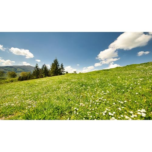 Aquarium-Hintergrund, Motiv: Bergkieferbäume, klarer blauer Himmel mit grünem Gras, fantastische natürliche Landschaft, Terrarium, Hintergrund, Frühlingsblumen, grünes Gras, Aquarium-Hintergrund, 91,4 von Riivvdise