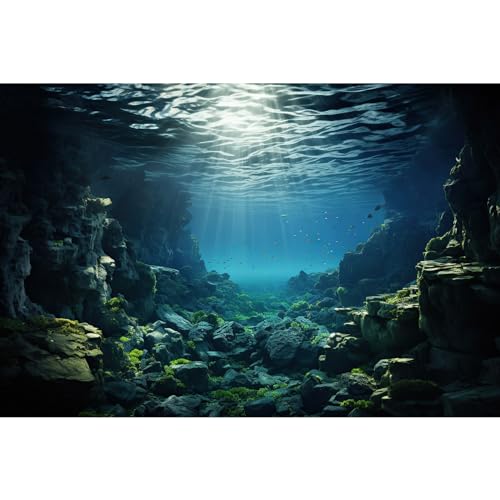 Aquarium-Hintergrund, Unterwasser-Korallenriff mit Fischen, Sonnenstrahlen, Terrarium-Hintergrund unter Wasser, Felsen mit Moos, Aquarium-Tapete, Poster, Dekoration, Vinyl, 183 x 61 cm von Riivvdise