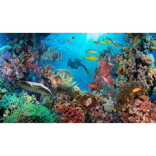 Aquarium-Hintergrund, tropische Anthias, Fische mit Netz, Feuerkorallen auf rotem Meer, Aquarium-Hintergrund, Unterwasserwelt, Aquarium-Dekoration, Unterwasser-Aquarium-Hintergrund, 91,4 x 61 cm von Riivvdise