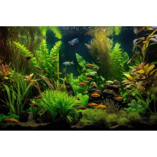 Aquarium-Hintergrund, tropischer Süßwasser-Lebensraum mit bunten Fischpflanzen, Terrarium-Hintergrund, ruhig unter dem Meer, Wasserpflanzen, Redwoodwurzel mit üppigem Moos, Aquarium-Hintergrund, von Riivvdise