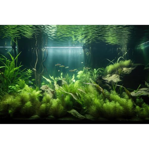 Aquarium-Hintergrund, üppige grüne Wasserpflanzen und Seegras, Terrarium-Hintergrund unter dem Meer mit Steinsand, Aquarium-Hintergrund, erstaunlicher Aquarium-Hintergrund, Poster, Vinyl, 91,4 x 45,7 von Riivvdise