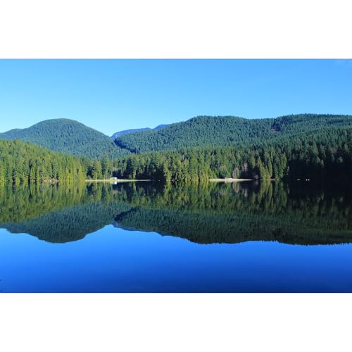 Hintergrund für See, Aquarium, ruhiger Wald, Bergterrarium, blauer Himmel, spektakulärer, natürlicher See-Thema, Aquarium-Hintergrund, Regenwald, Berge, Reptilien-Lebensraum, Hintergrunddekoration, von Riivvdise