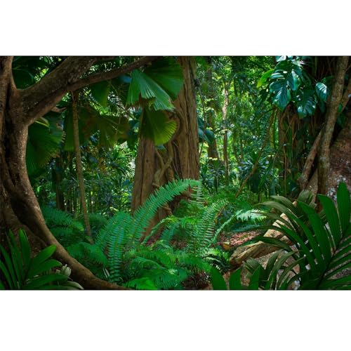 Hintergrund für Waldterrarium, tropischer Regenwald, Aquarium-Hintergrund, riesiger Baum, Regenwald, Reptilien-Lebensraum, Hintergrund, grüne Blätter, Pflanzen, Aquarium-Hintergrund, strapazierfähiges von Riivvdise