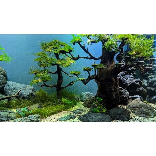 Riivvdise Aquarium-Hintergrund, grünes Gras, Bäume, Aquarium-Hintergrund, lebendige und frische grüne Pflanzen, Aquarium-Hintergrund, Holz und Kiesel, Reptilien, Lebensraum, Terrarium, Hintergrund, von Riivvdise