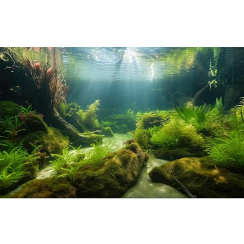 Riivvdise Hintergrund für Aquarien, Unterwasserstein, Aquarium-Hintergrund, Unterwasser-Hintergrund, Höhle, Sonnenlicht, Aquarium-Hintergrund, Dekoration, Aquarium-Hintergrund, strapazierfähiges von Riivvdise