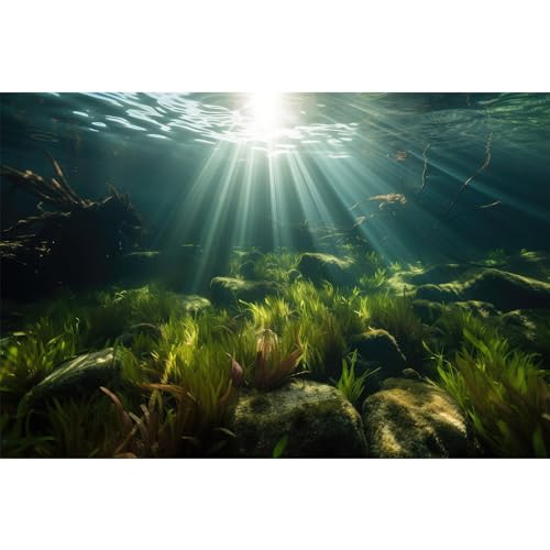 Riivvdise Hintergrund für Aquarium, Unterwasserstein, Aquarium-Hintergrund, Algen, Zweige, Sonnenlicht, Geheimnisvoller Aquarium-Hintergrund, strapazierfähiges Vinyl, 152,4 x 61 cm von Riivvdise