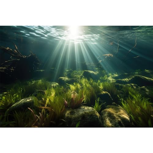 Riivvdise Hintergrund für Aquarium, Unterwasserstein, Aquarium-Hintergrund, Algen, Zweige, Sonnenlicht, Geheimnisvoller Aquarium-Hintergrund, strapazierfähiges Vinyl, 61 x 40,6 cm von Riivvdise