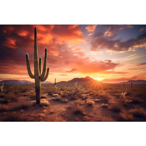 Riivvdise Hintergrund für Reptilien, Habitat, Sonnenuntergang, Wüstenterrarium, Saguaro-Kakteen, Silhouetten gegen Sonnenuntergang, Himmel, robustes Gelände, lebendige Wüstenfarben, von Riivvdise