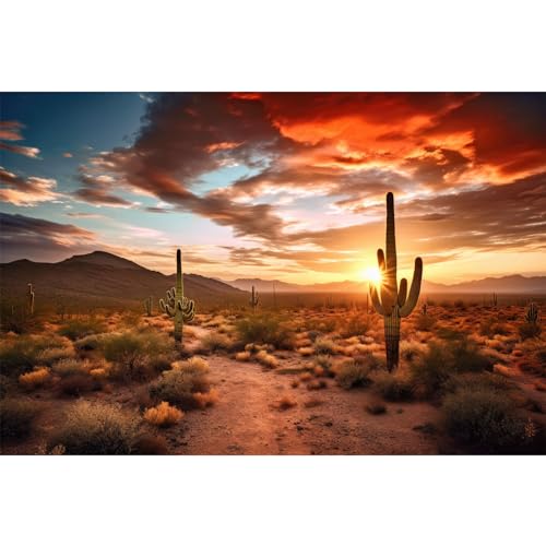 Riivvdise Hintergrund für Reptilien, Habitat, Sonnenuntergang, Wüstenterrarium, hoch aufragende Saguaro-Kakteen, Silhouetten gegen Himmel, robustes Gelände, lebendige Wüstenfarben, Landschaft, von Riivvdise