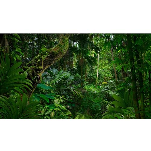 Tropischer Regenwald-Hintergrund für Aquarien, psychedelischer Wald, Terrarium, Hintergrund für alte Bäume, Wald, Reptilien, Lebensraum, grüne Blätter, Aquarium-Hintergrund, strapazierfähiges Vinyl, von Riivvdise