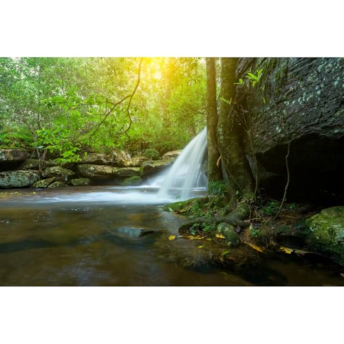 Wasserfall-Aquarium-Hintergrund, Dschungel, Wald, Bachlauf, Terrarium, Höhle mit üppigen grünen Bäumen, Felsen, Aquarium-Hintergrund, Wasserfall, Sonnenstrahlen, natürliche Landschaften, von Riivvdise