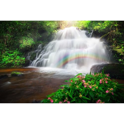 Wasserfall-Aquarium-Hintergrund, Regenwald unter Sonnenstrahlen, Regenbögen, Terrarienhintergrund, Dschungelwald, Bachthema, Aquarium-Hintergrund, für Reptilien, Lebensraum, Vinyl, 121,9 x 61 cm von Riivvdise