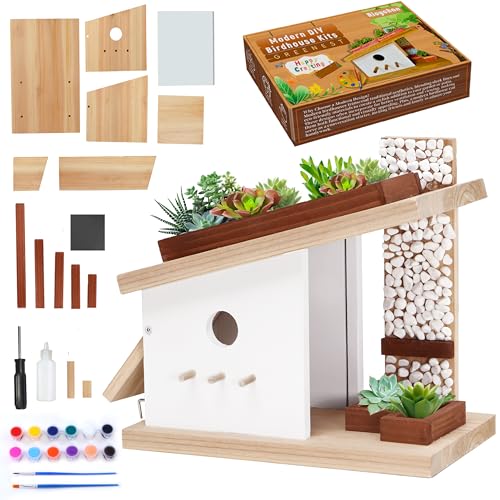 Modernes Vogelhaus-Holzbearbeitungs-Set, bauen Sie Ihr eigenes DIY-Vogelhaus-Set für Kinder und Erwachsene, DIY-Holzhandwerk-Bauprojekte mit Farbset von Rioychan