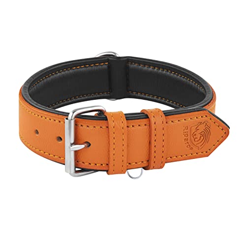 Riparo Echtes Leder Verstellbares Hundehalsband mit Zusätzlicher Verstärkung (L: 3,8CM Breit für 43,2CM - 53,3CM Hals, Orange) von Riparo Motorsports