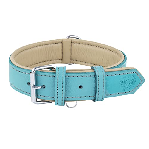 Riparo Echtes Leder Verstellbares Hundehalsband mit Zusätzlicher Verstärkung (S: 1,9CM Breit für 25,5CM - 34,3CM Hals, Aqua) von Riparo Motorsports