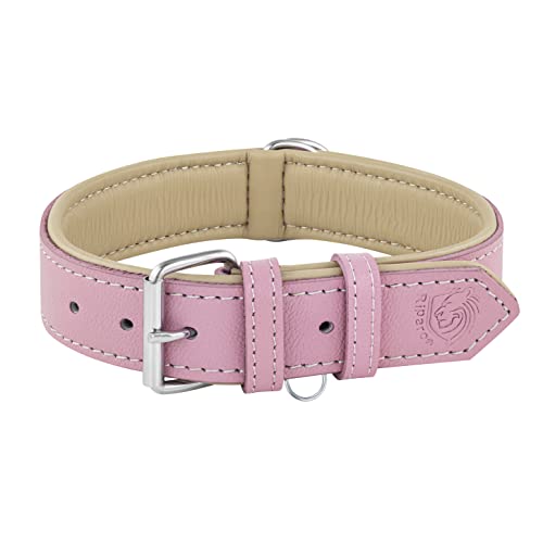 Riparo Echtes Leder Verstellbares Hundehalsband mit Zusätzlicher Verstärkung (S: 1,9CM Breit für 25,5CM - 34,3CM Hals, Rosa) von Riparo Motorsports