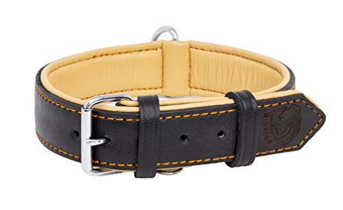 Riparo Echtes Leder Verstellbares K-9 Hundehalsband mit Zusätzlicher Verstärkung (M: 2,5CM Breit für 34,3CM - 44,5CM Hals, Schwarz/Orange Faden) von Riparo Motorsports