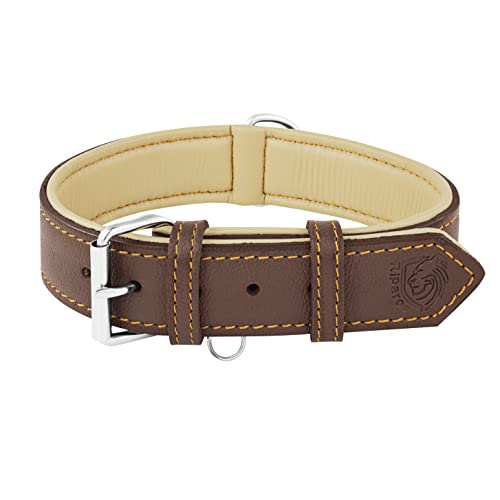 Riparo Echtes Leder Verstellbares Hundehalsband mit Zusätzlicher Verstärkung (L: 3,8CM Breit für 43,2CM - 53,3CM Hals, Braun) von Riparo Motorsports