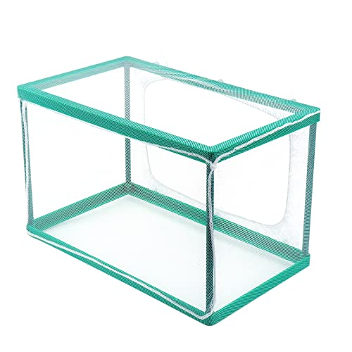 Risbay 1 x Aquarium-Fischzüchter-Box, Fisch-Isolationsbox, Juvenile-Fisch-Laich-Brutkasten mit 4 Saugnäpfen, grün, 25,4 x 15,2 x 15,2 cm von Risbay