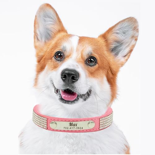 Hundehalsband aus Leder, personalisierbar, mit gravierbarem Namensschild für mittelgroße Hunde, 29,2 cm - 38,1 cm, Rosa von Risegun